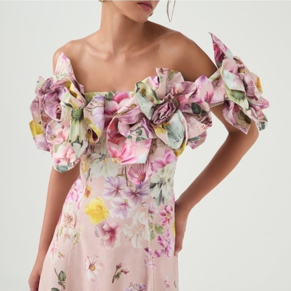 Aje Misha Maxi Dress Floral Maxi Pink 3D Flowers Size 6/US2 Party Weadding - Picture 2 of 7